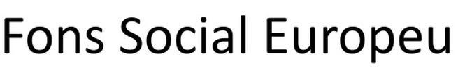 FSE_3